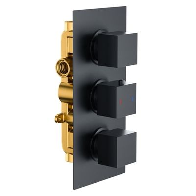 Matt Black Concealed Valve Showers Concealed Thermostatic Mixer Shower Two Outlets