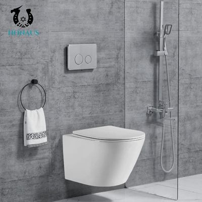 Customized Rimless Bathroom Toilet Bowl Washdown Wall Mounted Commode