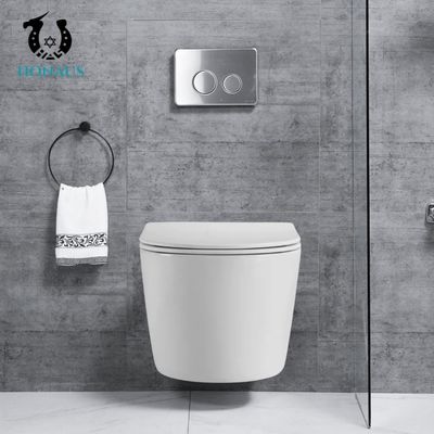 Customized Rimless Bathroom Toilet Bowl Washdown Wall Mounted Commode