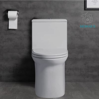 Siphonic Flushing S Trap One Piece Toilet Bowl OEM/DOM Accepted