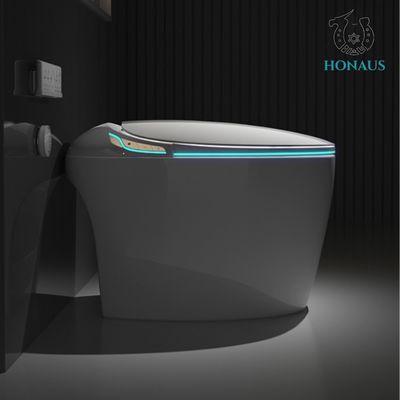 CUPC European 110v/220VAC Bathroom Toilet Bowl Smart Commode Auto Wash