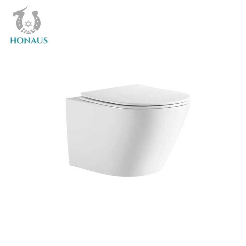 Customized Rimless Bathroom Toilet Bowl Washdown Wall Mounted Commode